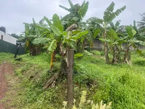 Land for Sale in Kadawatha