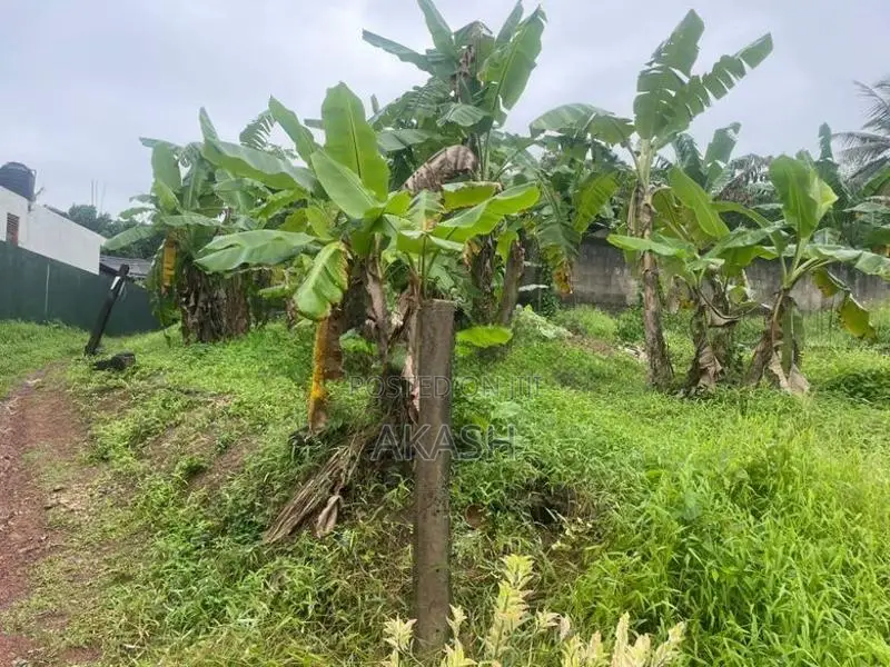Land for Sale in Kadawatha