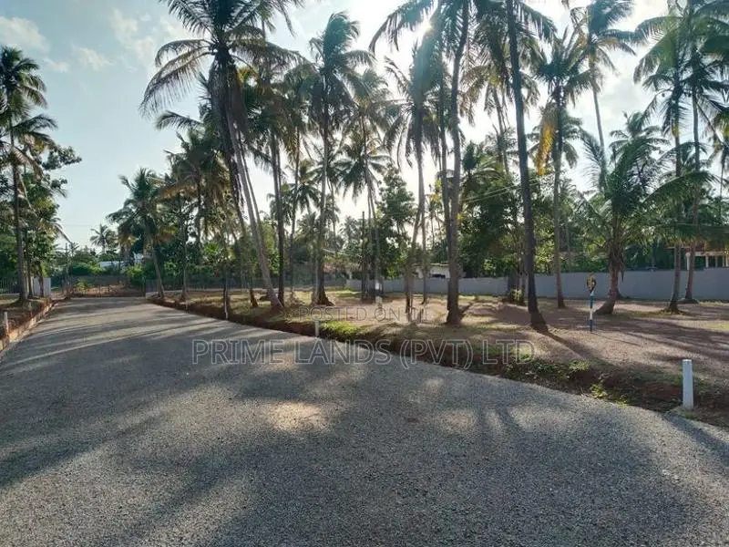 Land for Sale in Near Dankotuwa Ago Office
