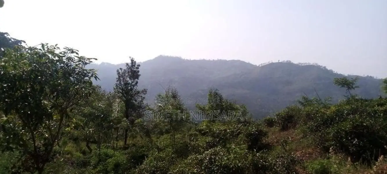 ඇල්ල සංචාරක පුරවරයෙන් ඉඩම