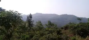 ඇල්ල සංචාරක පුරවරයෙන් ඉඩම