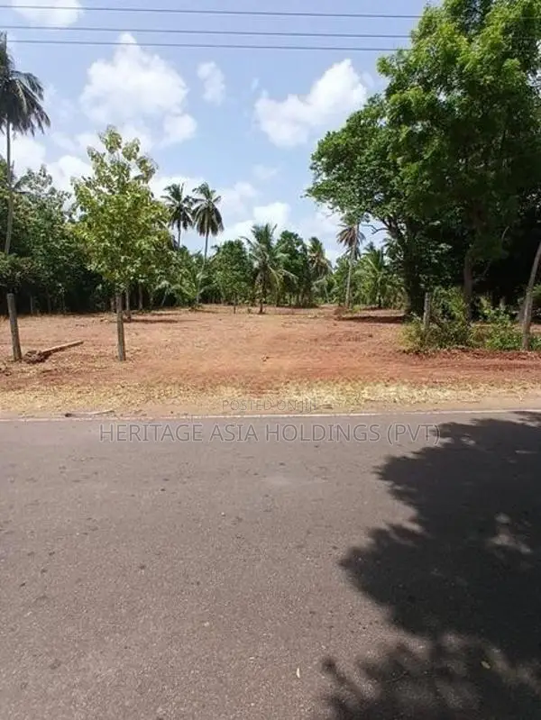 Land for sale in Perimiyankulama