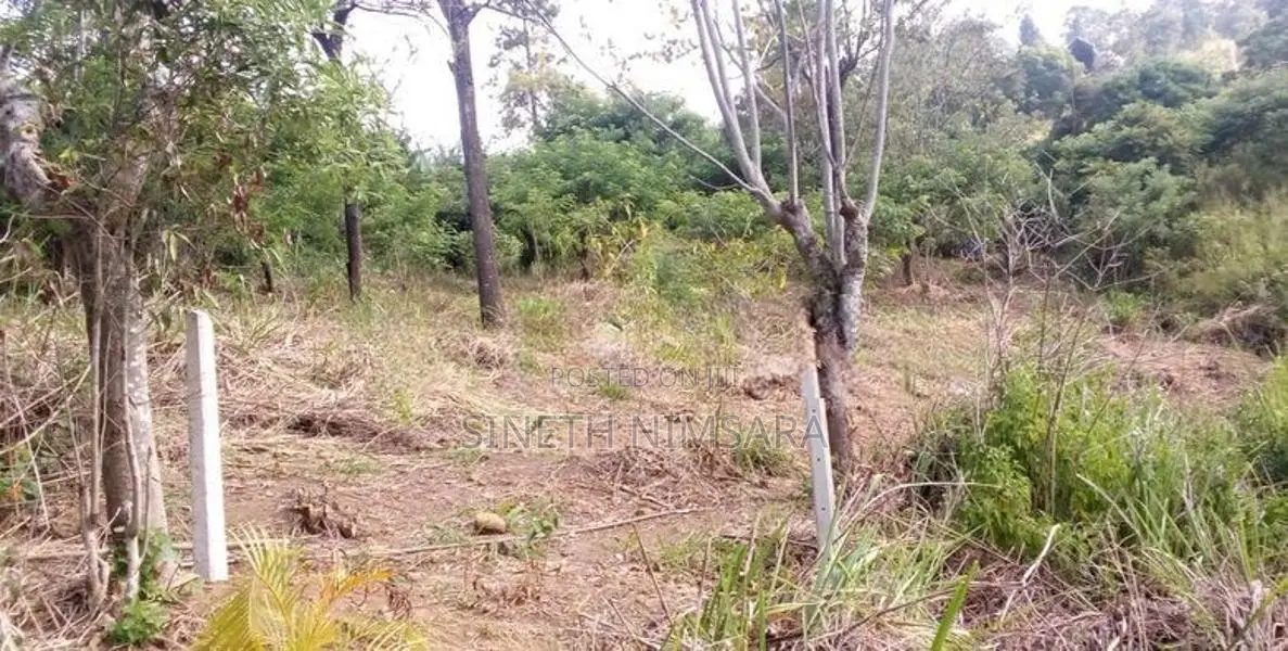 ඇල්ල සංචාරක පුරවරයෙන් ඉඩම