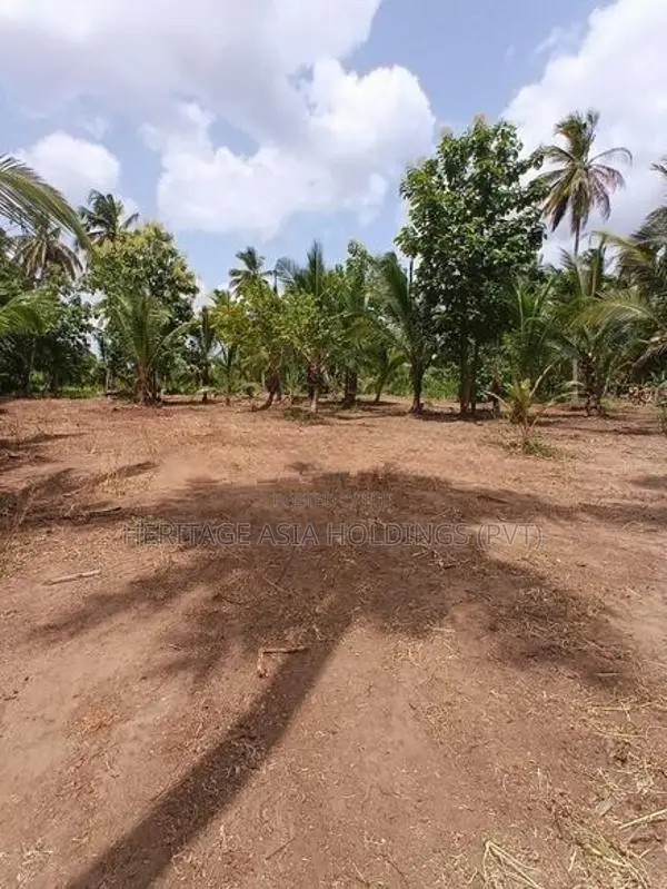 Land for Sale Anuradapura