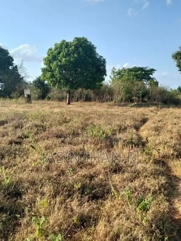 காணி விற்பனைக்கு தரணிக்குளம், புதிய நகர்