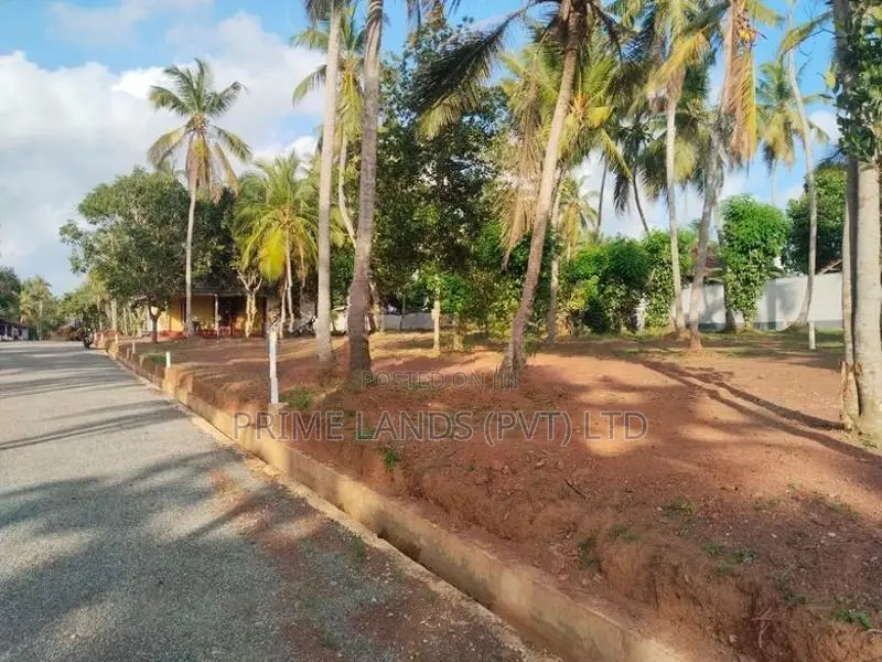 Land for Sale in Near Dankotuwa Ago Office