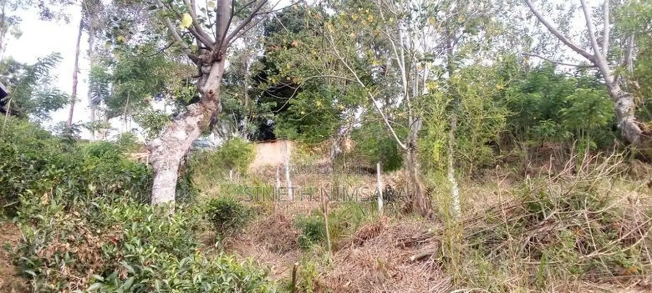 ඇල්ල සංචාරක පුරවරයෙන් ඉඩම