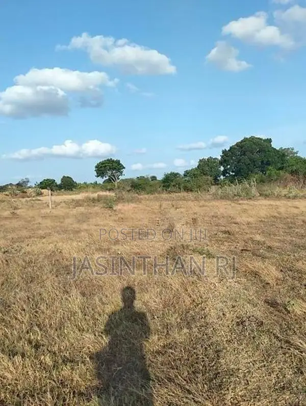 காணி விற்பனைக்கு தரணிக்குளம், புதிய நகர்