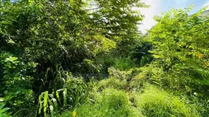 (SPL14) 10P Land For Sale in Duwa Road Beddagana Pitakotte