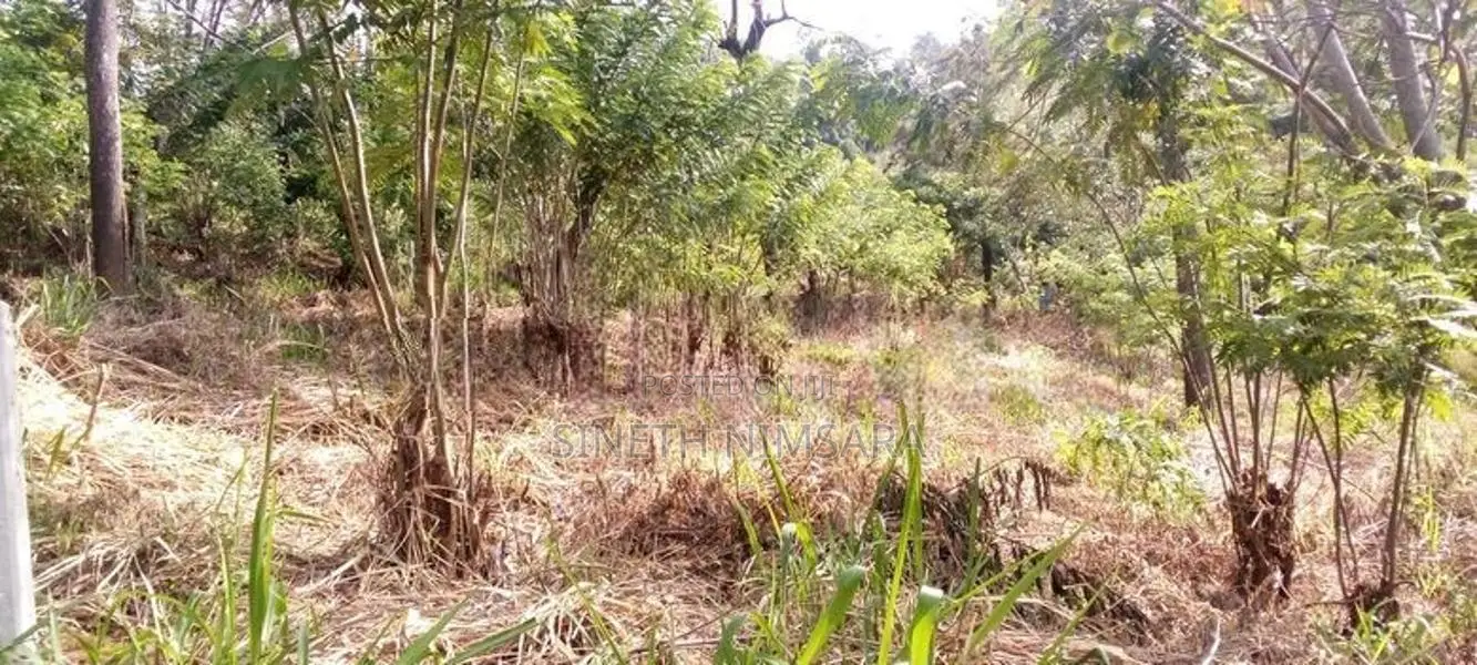 ඇල්ල සංචාරක පුරවරයෙන් ඉඩම