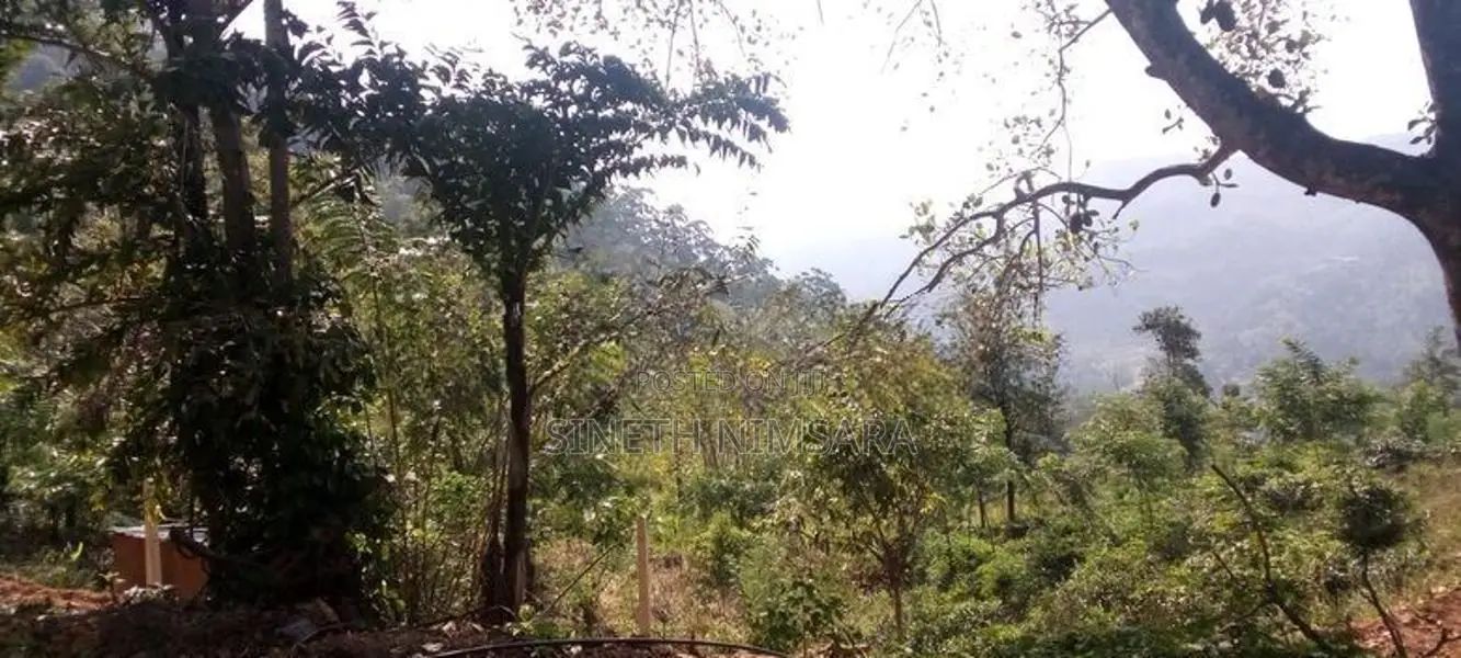 ඇල්ල සංචාරක පුරවරයෙන් ඉඩම