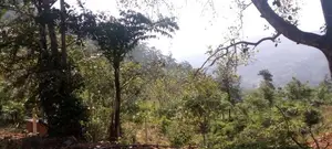 ඇල්ල සංචාරක පුරවරයෙන් ඉඩම