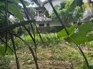 Neat land for sale Talawathugoda