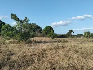 காணி விற்பனைக்கு தரணிக்குளம், புதிய நகர்