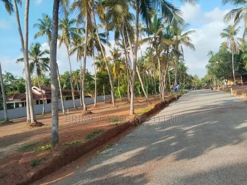 Land for Sale in Near Dankotuwa Ago Office