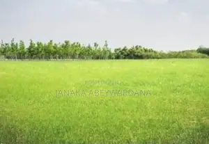 ගාල්ල අම්බලනවත්ත පාරට මුහුණලා පර්චස් 10 විකිනීමට