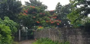 Land for Sale in Colombo 06