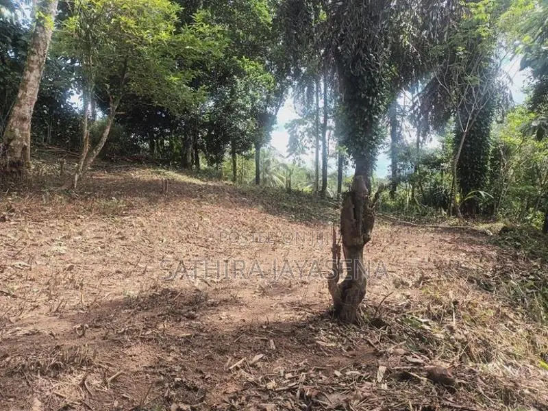 25 Perch Land for Sale Near Avissawella