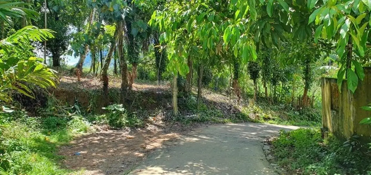 25 Perch Land for Sale Near Avissawella