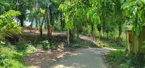 25 Perch Land for Sale Near Avissawella