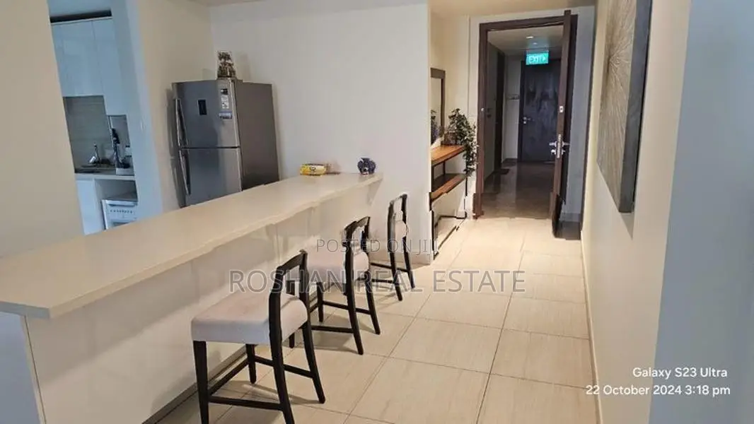 FULLY FURNISHED COLOMBO CITY CENTER RESIDENTIAL FOR RENT 2 C2768