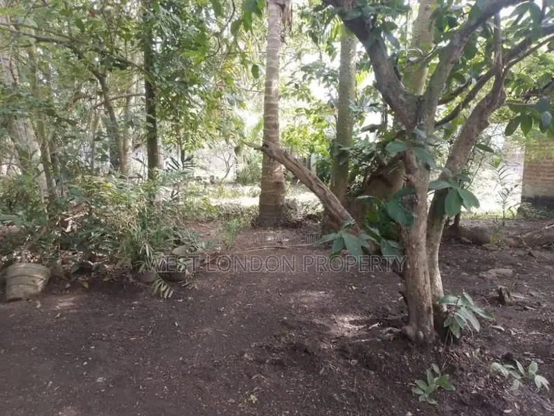Prime Land with Old House for Sale Near Negombo Beach and Lagoon!