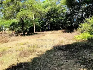 පචස් 90ක ඉඩමක් විකිනිම - වැලිමඩ