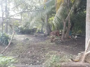 Prime Land with Old House for Sale Near Negombo Beach and Lagoon!