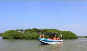Prime Land with Old House for Sale Near Negombo Beach and Lagoon!