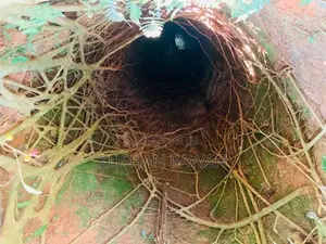 පචස් 90ක ඉඩමක් විකිනිම - වැලිමඩ