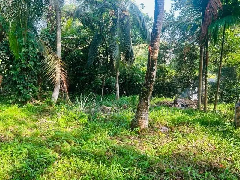 Prime Residential Land for Sale – Kahathuduwa