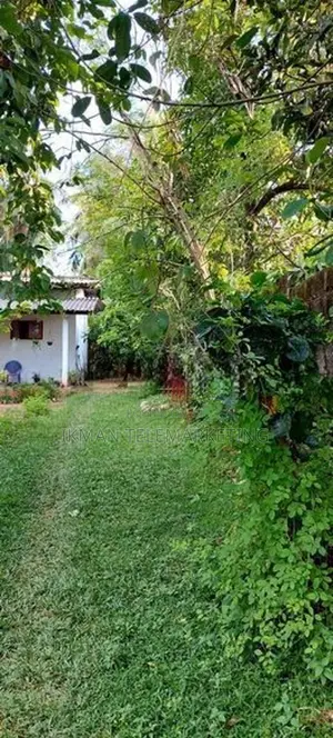 Land for Sale with Small House – Deegalawatta, Jalthara, Ranala