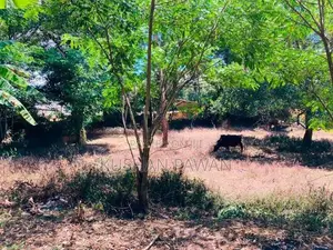 පචස් 90ක ඉඩමක් විකිනිම - වැලිමඩ