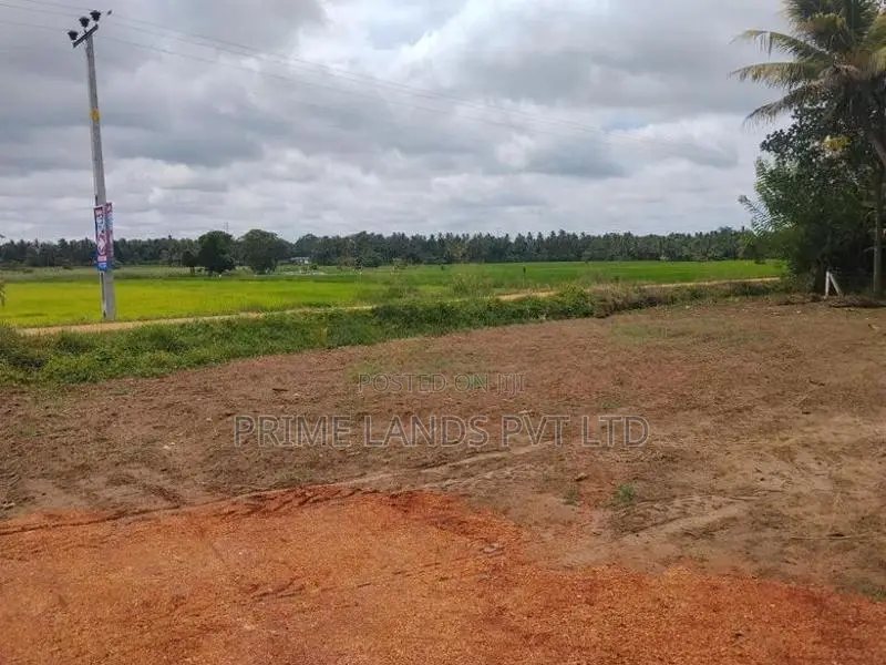 Land for Sale in Anuradhapura Nachchaduwa