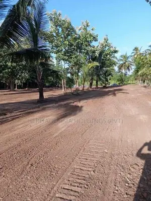 අනුරාධපුර පූජා නගරය සමීපයෙන් සින්නක්කර ඉඩමක්