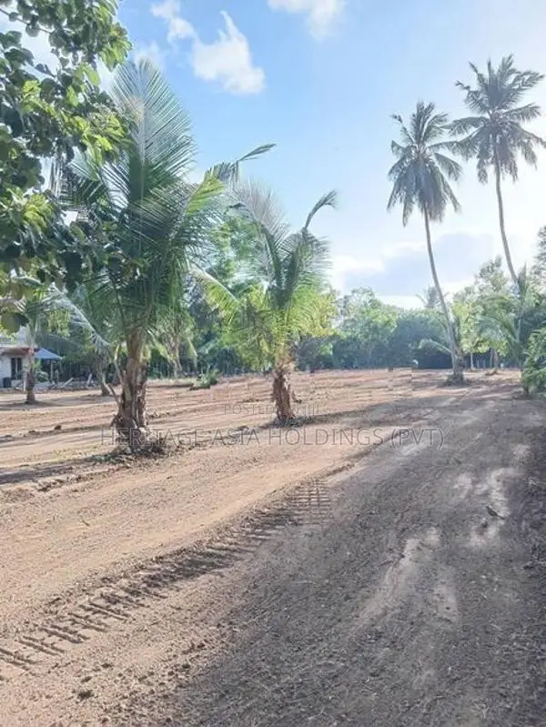 අනුරාධපුර පූජා නගරය සමීපයෙන් සින්නක්කර ඉඩමක්