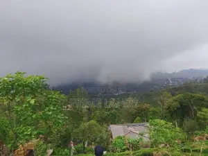 Beautiful Land for Sale in Kandy Galaha