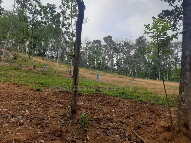 Residential Land for Sale in Nelundeniya