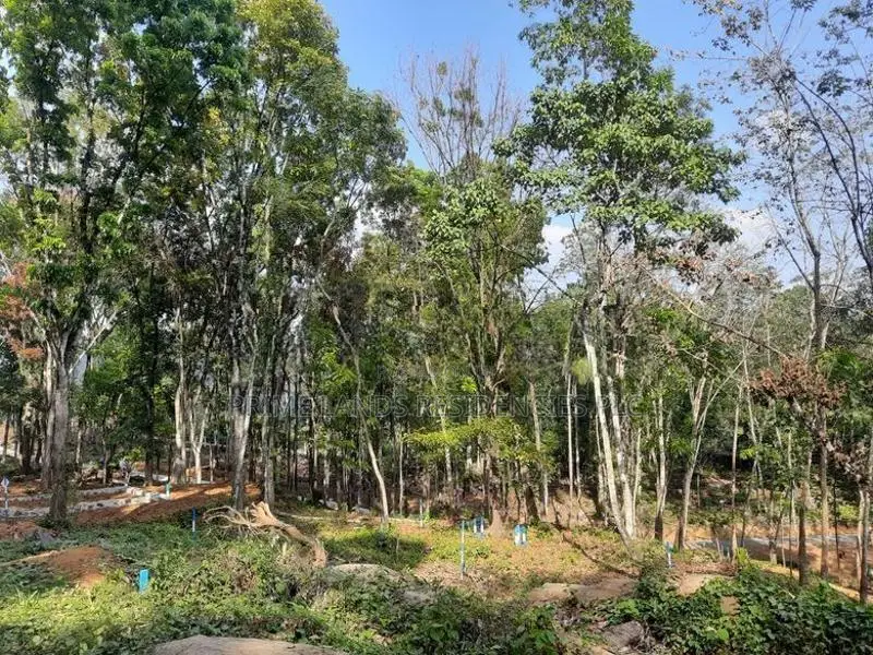 Residential Land for Sale in Nelundeniya