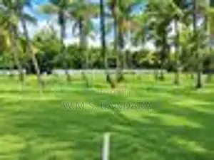 Land for Sale in Malsiripura M09