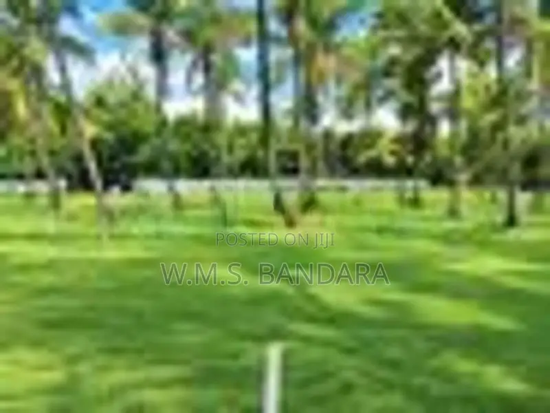 Land for Sale in Malsiripura M09