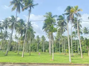 උඩුගම්පොළින් නේවාසික බිම්කොටස්