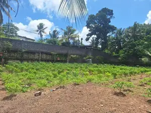 36 Perch Prime Land for Sale – Hospital Road, Pita Kotte