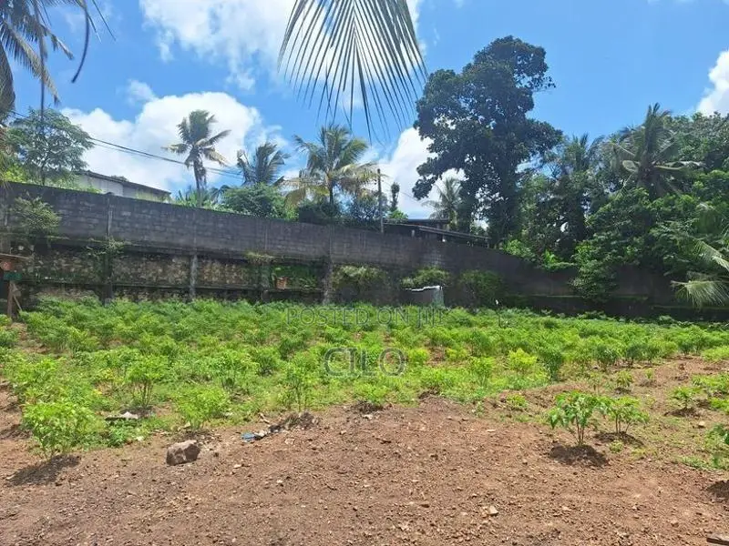 36 Perch Prime Land for Sale – Hospital Road, Pita Kotte