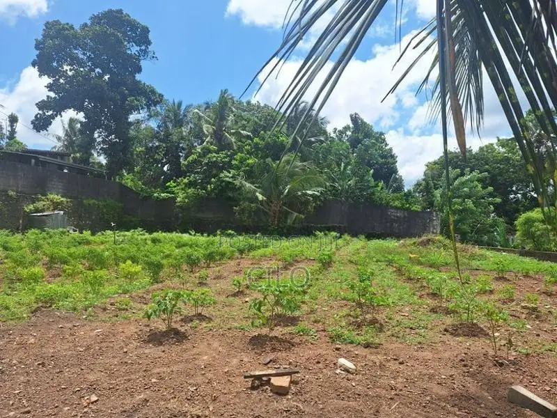 36 Perch Prime Land for Sale – Hospital Road, Pita Kotte