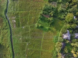 Land for Sale | Niyandagala, Homagama