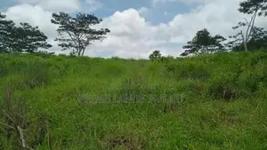 Land For Sale Pussellawa