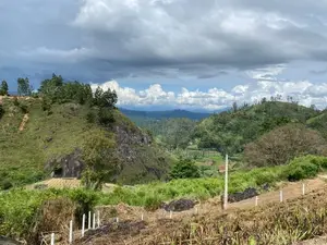 Residential Land for Sale in Boragas, Nuwara Eliya