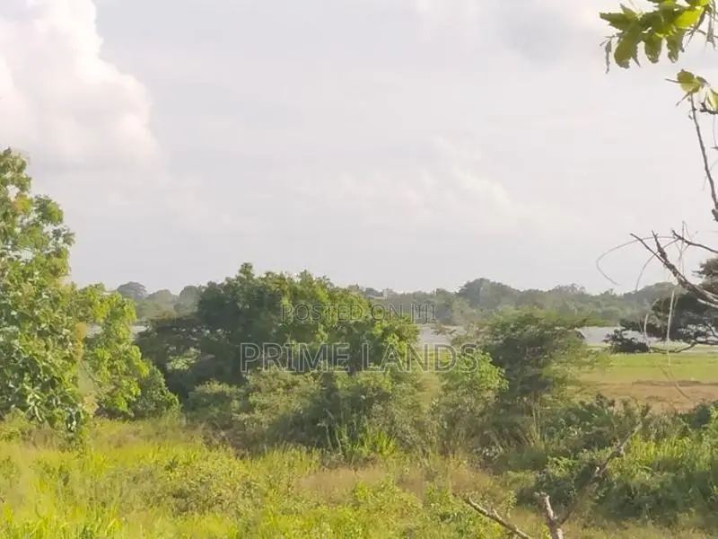 බුලන්කුලම සින්නක්කර ඉඩමක්