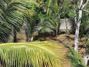 Prime Land for Sale in Galle